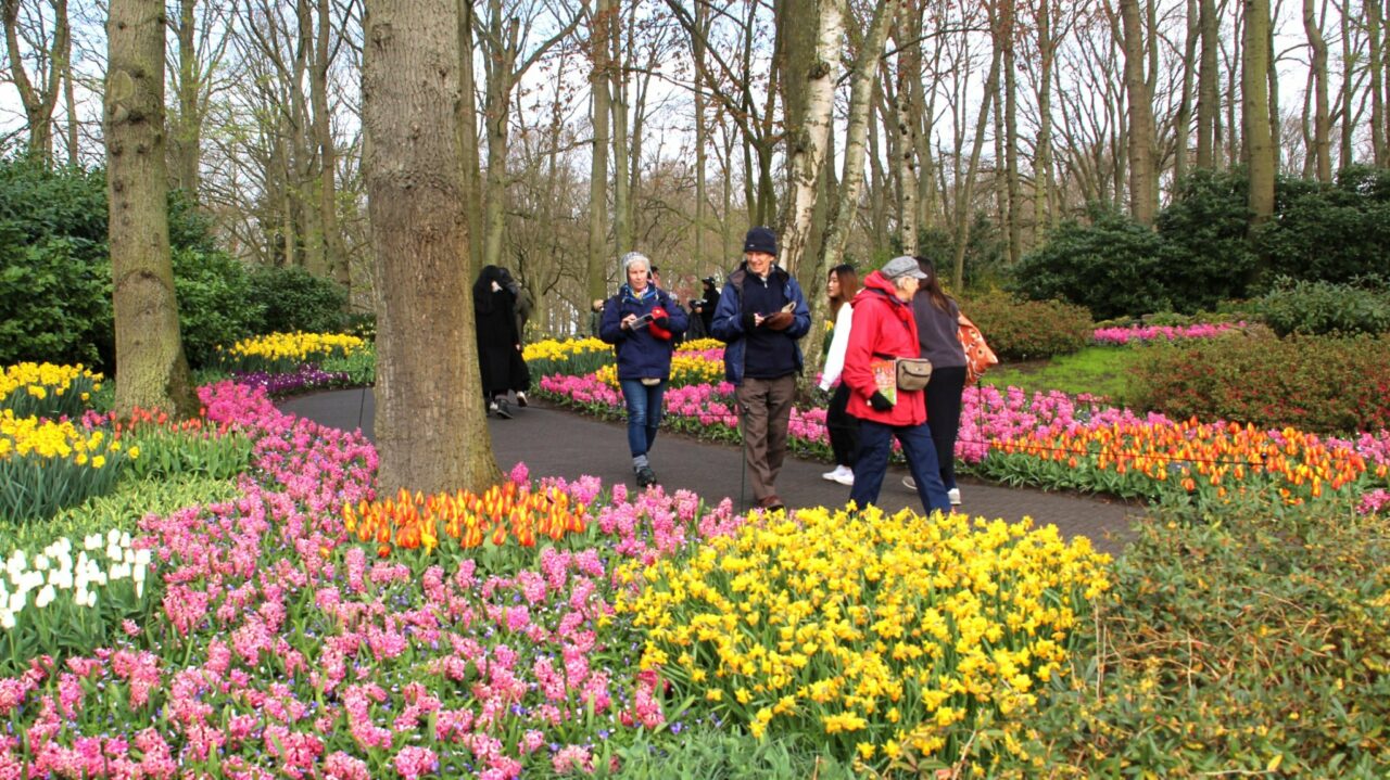 A visit to Keukenhof