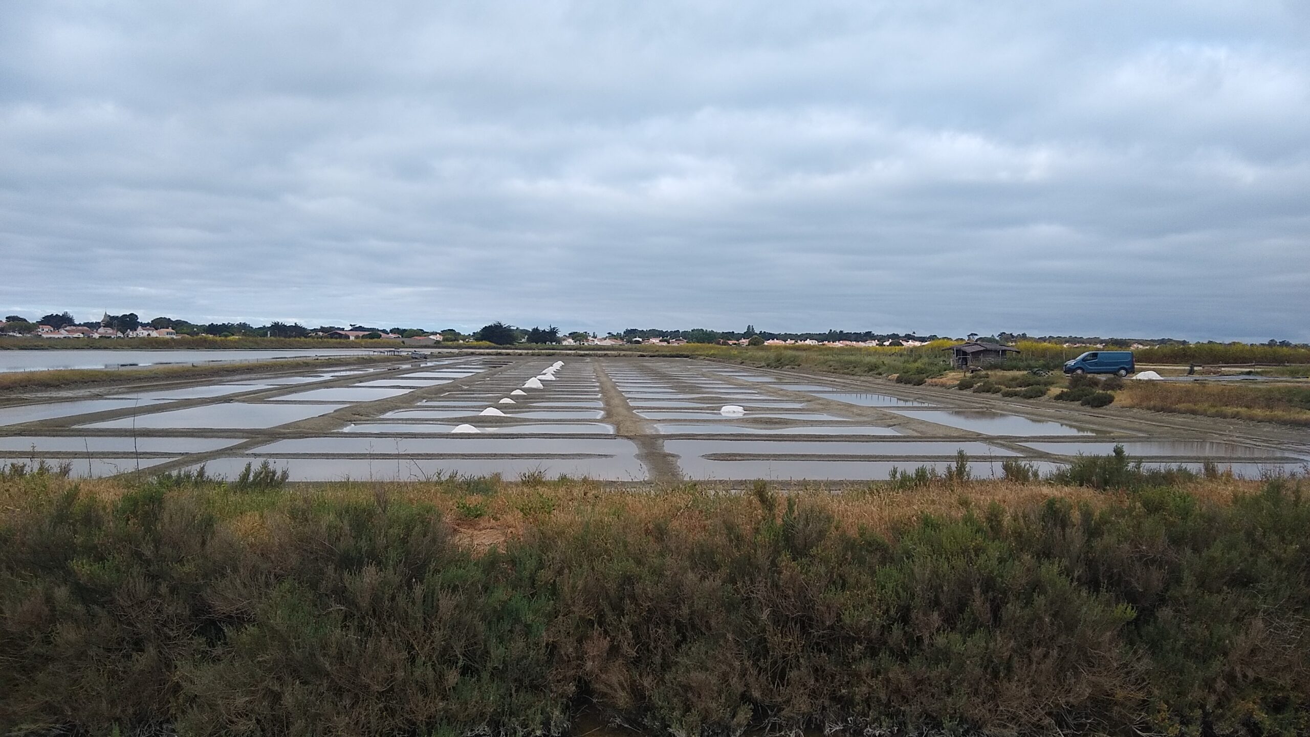 Birds, rabbits, sea and salt fields