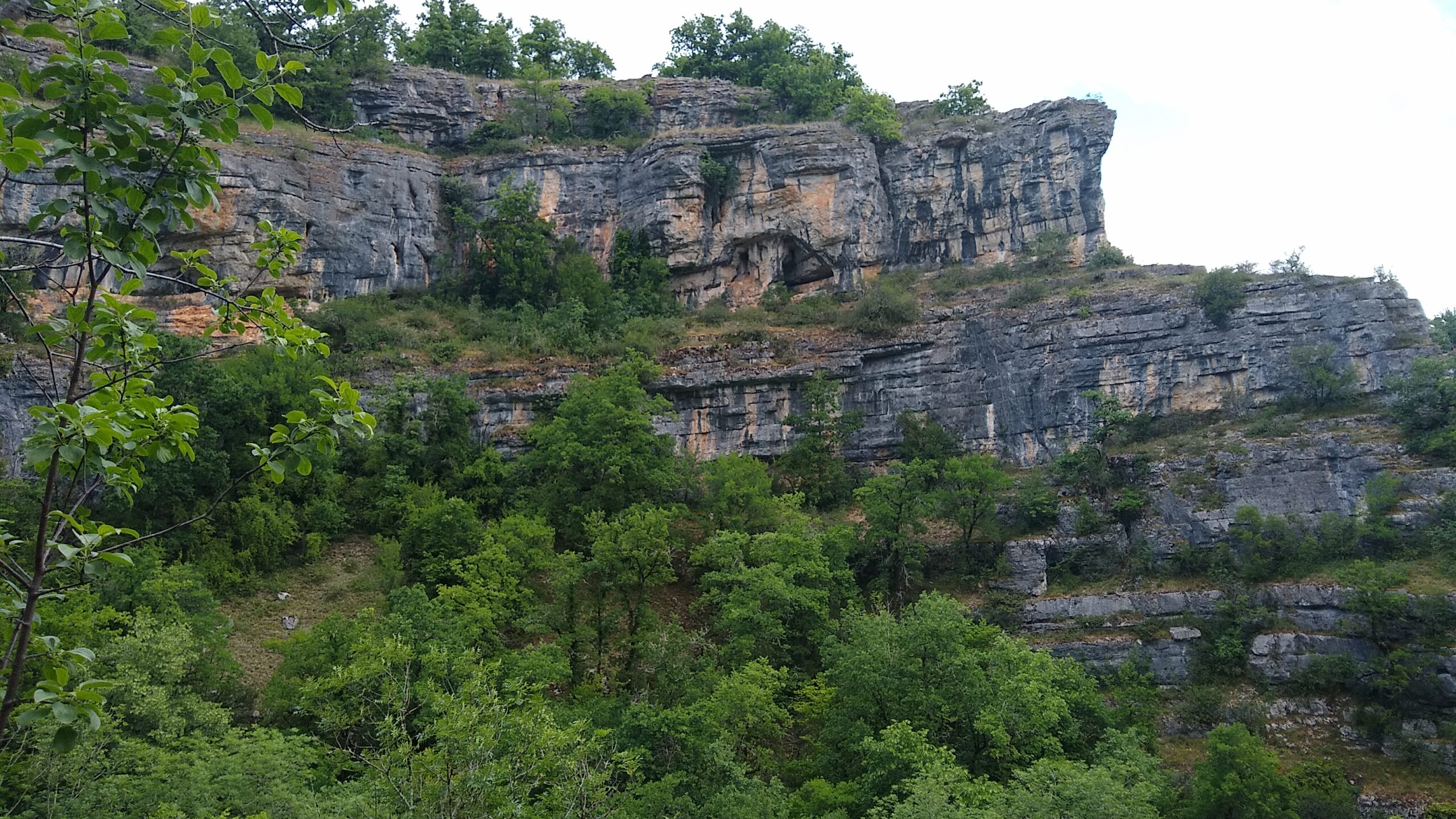 Deer, Moulins, gorges, and bridges in the Alzou valley