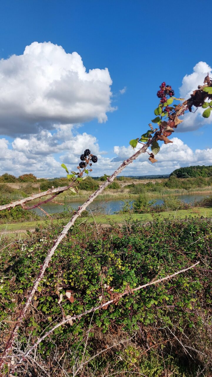 Snettisham shambles